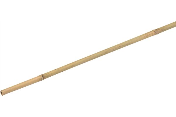 WU9966460.jpg