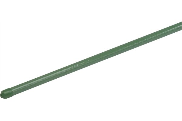 WU9966200.jpg
