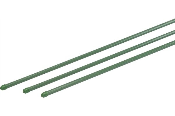WU9966180.jpg