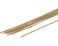 Tonkin/ Bambus Stäbe, 750 mm, 10 St.