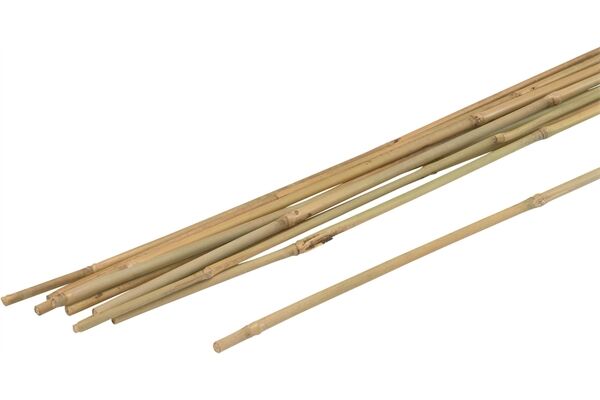 WU9966400.jpg