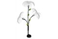  LED Solar Gartenlampe