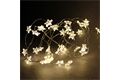  Sternförmige Lichterkette, 40 LEDs, 2 m, WW