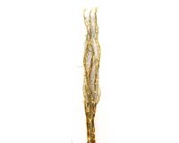 Lichterzweige, 80 LEDs, WW, 1,20 cm (gold)
