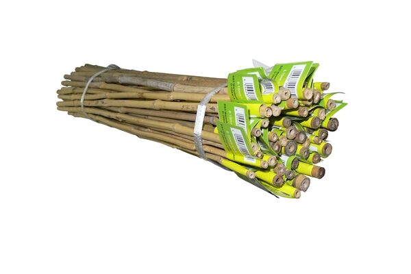  Bambusstab, 75 cm