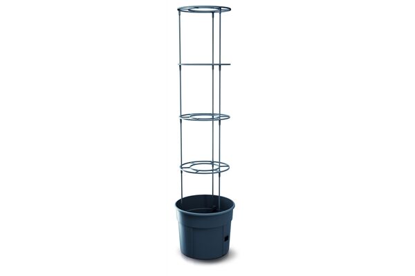 PROSPERPLAST Tomatentopf 392 x 315 x 316/1530 mm