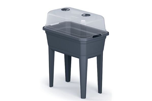 PROSPERPLAST Hochbeet 596 x 368 x 753 mm