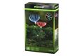  LED Solar Blume, Dandelion