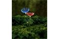  LED Solar Blume, Dandelion