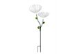  LED Solar Blume, Dandelion