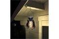  LED Solar Tischlicht