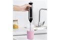  Stabmixer