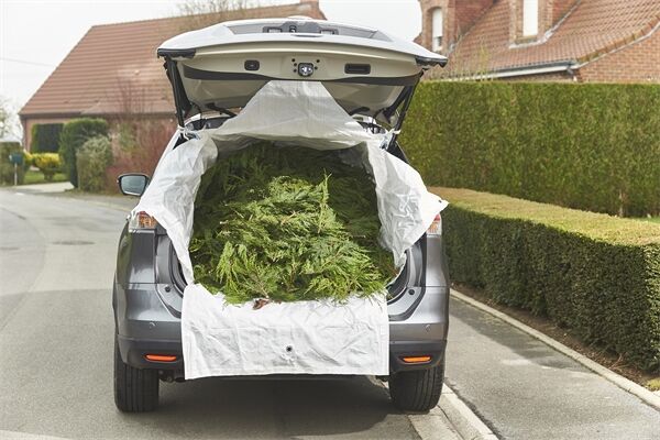  Big Bag fürs Auto