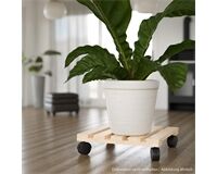 Pflanzenroller, quadratisch