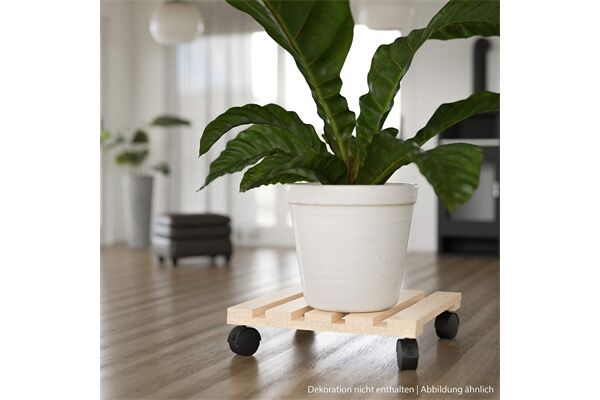  Pflanzenroller, quadratisch