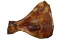  Schulterknochen vom Schwein im Nature Label