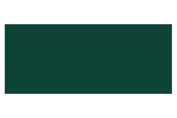 Wilckens Buntlack 2in1 seidenmatt