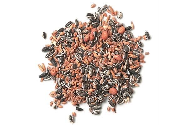  Streufutter Plus, schalenlos, 800 g