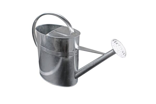  Gießkanne verzinkt , 10 l