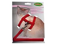 Katzen-Garnitur, Geschirr mit Leine