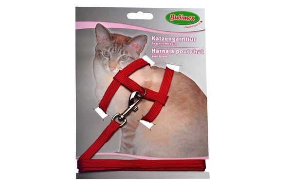  Katzen-Garnitur, Geschirr mit Leine