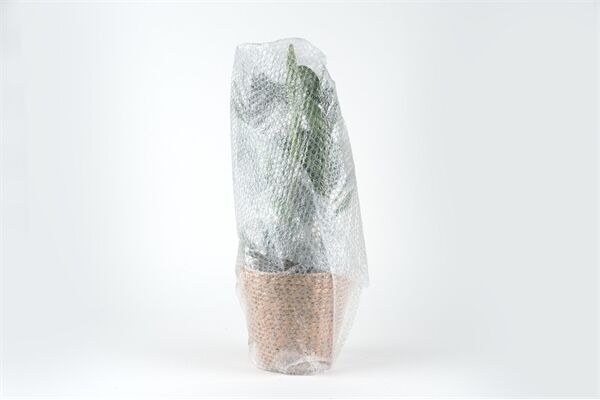  Luftpolsterfolie, 0,5 m x 5 m