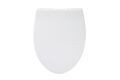  WC-Sitz aus Duroplast