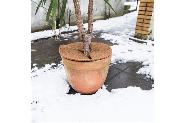  Mulchscheibe aus Kokos, Ø 40 cm