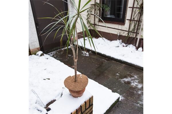  Mulchscheibe aus Kokos, Ø 25 cm