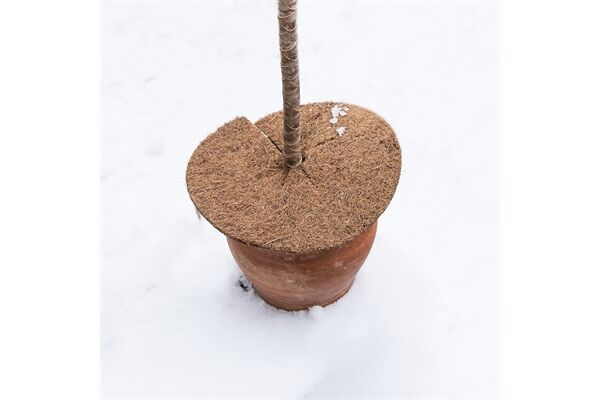  Mulchscheibe aus Kokos, Ø 25 cm