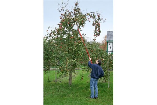  Obstpflücker mit Teleskopstiel (1650- 3000 mm)