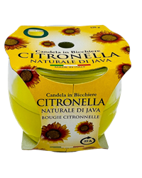 Citronella-Kerze im Glas, 120 g, 25 h