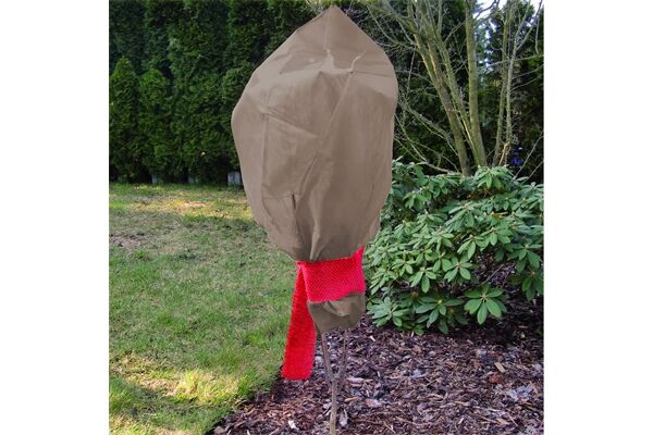 Testrut Rosenschutzhauben 0,8 x 0,75 m, 3 Stück