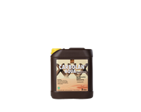Carbolan Zaunlasur, 5 L (braun)