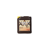 Carbolan Zaunlasur, 5 L (braun)