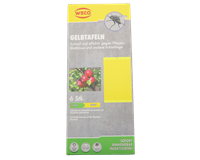 Weco Gelbtafeln, 6er