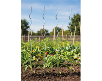 Tomaten Spiralstab galvanisch verzinkt