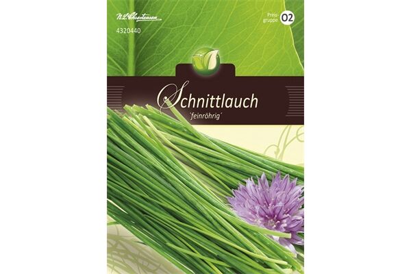  Saatgut Schnittlauch, feinröhrig, mehrjährig