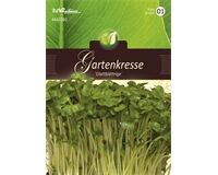 Saatgut Gartenkresse, glattblättrige für 0,4 m²