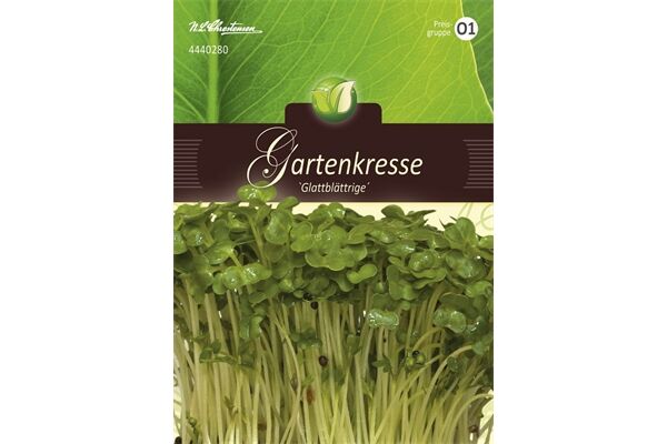 Saatgut Gartenkresse, glattblättrige für 0,4 m²