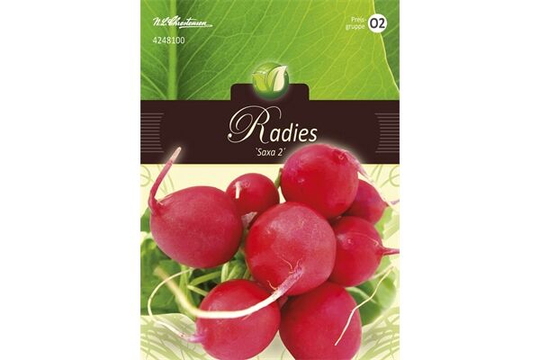  Saatgut Radies, Saxa 2 für 5 – 7 lfd. m.