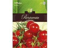 Saatgut Partytomate, Balkonzauber für 70 Pflanzen