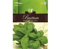 Saatgut Basilikum, für 250 Pflanzen